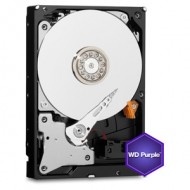 HDD 3.5'' Western Digital Purple 1TB  - WD10PURX