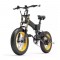 iScooter Electric Bicycle 1000W with 17.5Ah Lithium Battery- BX3000Plus